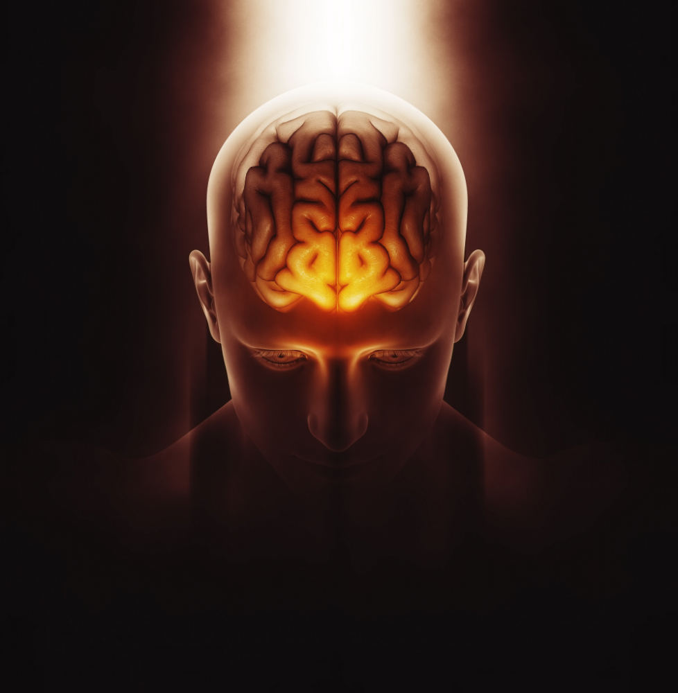 3d render medical image male figure with brain highlighted